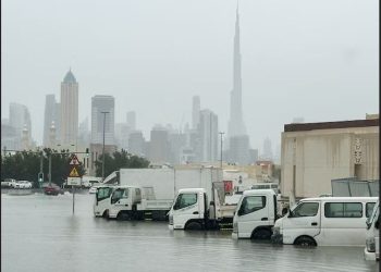 شركات التأمين تستعد لتعويضات خسائر عواصف وسيول الإمارات  