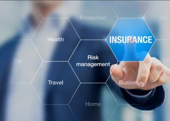 ماهو التأمين الحكومي وأنشطته؟