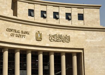 مصر: استثمارات شركات وصناديق التأمين في أذون الخزانة تسجل 5 مليارات دولار