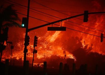 إدارة التأمين في كاليفورنيا تطلب مليار دولار إضافية لتعويض خسائر حرائق الغابات